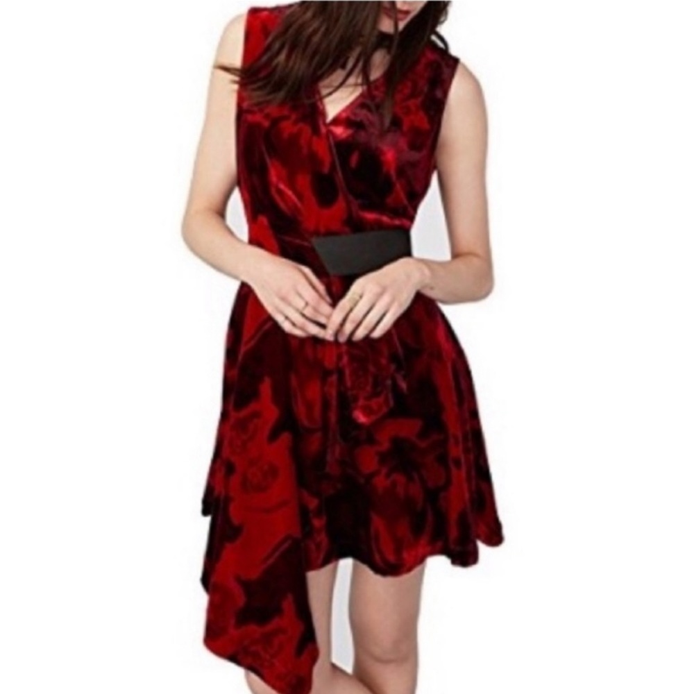 Rachel Roy Whimsigoth Velvet Asymmetrical Hem Victorian Gothic Dress Size 4